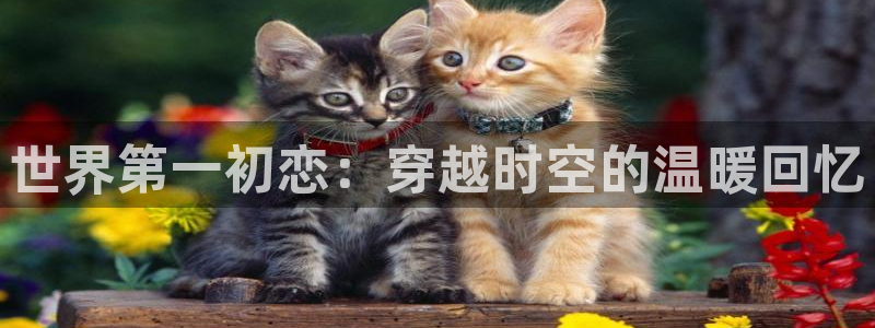 汗汗漫画网改名