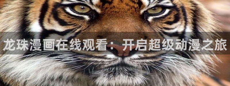 汗汗漫画免费阅读在线
