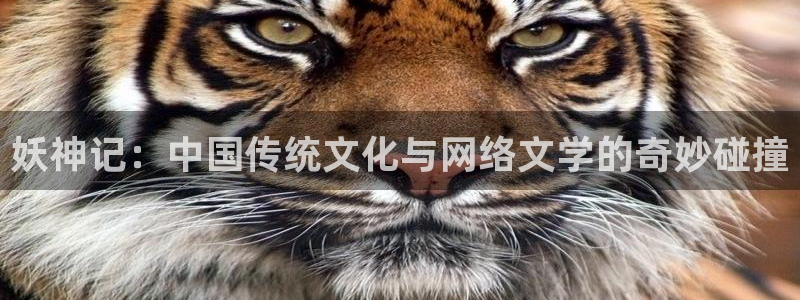 汗汗漫画免费登录页面看漫画下拉式